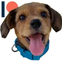 koda