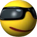 sunglassjoi