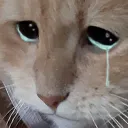 sad_knut