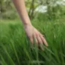 touchgrass