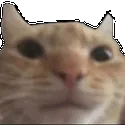 SwagDoor