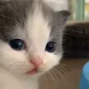wtf