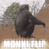 monkeflip