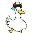 duckdance