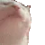 catJAM