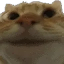 yees
