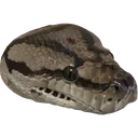 frank