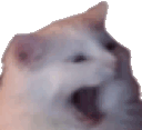 HAAAAAAAAAAAAAAA