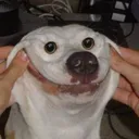 emoji_14 emoji_14