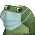frogmask