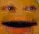 citruswhat
