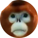 monkeface monkeface