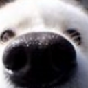 sniff8 Discord emoji