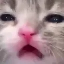 wuh