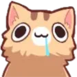 nekoderp