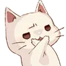 cat_no