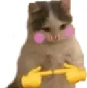 blushkitty blushkitty
