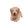 doggoArrive
