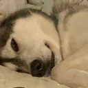 WinterGrin