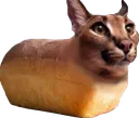Floppan