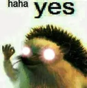 yes