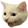 Cathappy cathappy Discord Emoji