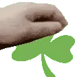 pettheshamrock
