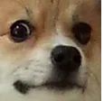 kya