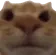 StareChamp