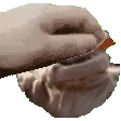 petthemage petthemage