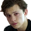 Sf Peter Cry Discord Emoji