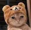 catcri Discord emoji