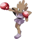 Hitmonchan