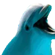 autistic_dolphin