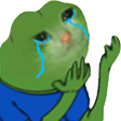 pepesadcat Discord emoji