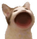 popcat
