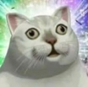 :Acat_stare:
