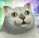 Acat_stare