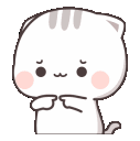 shycat