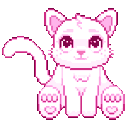kitty