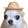 MB_Tuki MB_Tuki