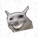 weshcircle