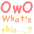 AKO_OwOWhatsThis