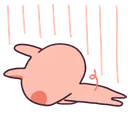 dwaekkidone