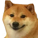 TrickysServer_doge Discord Emoji