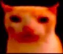 angry_bruhcat