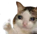 catthumbsup Discord emoji