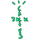 cactusjack
