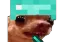 SCCConfused SCCConfused