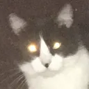 Demon Cat Discord Emoji